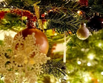 Kerstboom tips