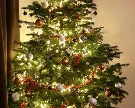 Kerstboom tips