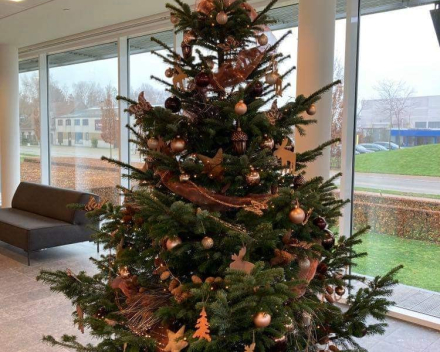 Kerstboom tips