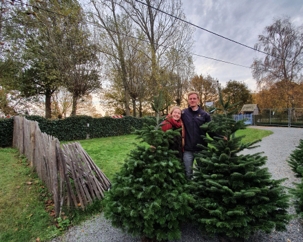 Kerstboomverkoop