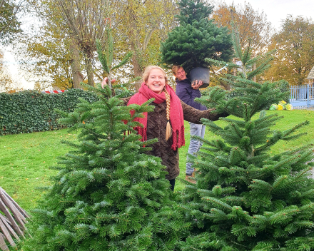 Kerstboomverkoop