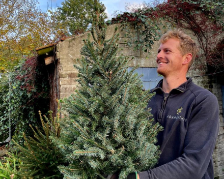 Kerstboomverkoop