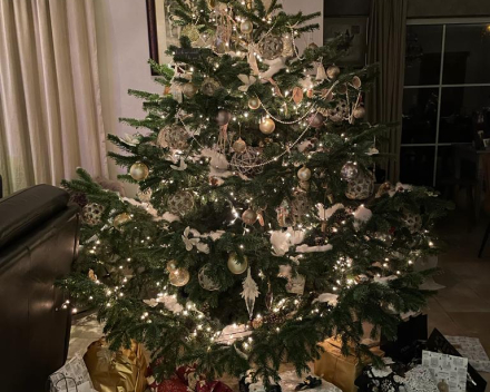 Kerstboom tips