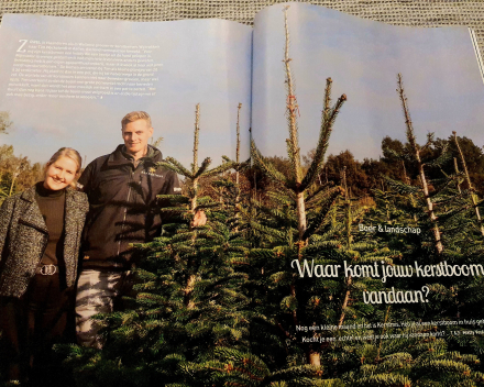 Waar komt jou kerstboom vandaag? -Boer en landschap- Buiten- Ledenblad Landelijke gilden- december 2020