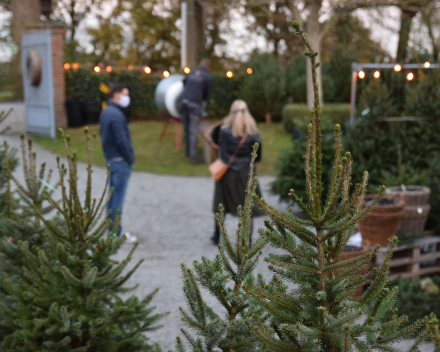 Kerstboomverkoop